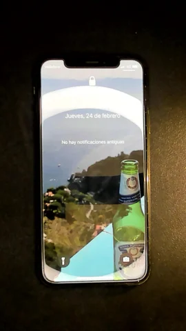 Apple iPhone X de S****o antes de la reparación de vibrador