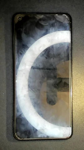 Xiaomi Mi 11 Lite de S****o antes de la reparación de electrónica de botón de encendido y lector de huellas (o inicio)