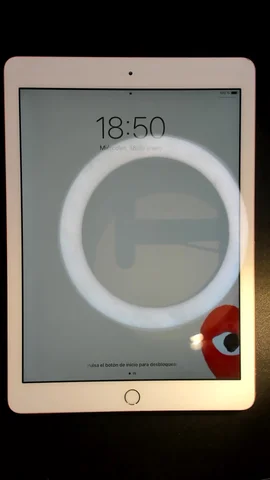 Apple iPad 6 9.7 (2018) de J*****n antes de la reparación de batería