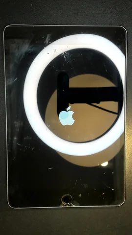 Foto tomada del Apple iPad mini 4 (2015) de S****o posterior a la reparación de batería el 1 de Marzo de 2023