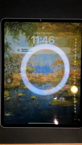 Foto tomada del Apple iPad Pro 12.9 (2018) de I*****o posterior a la reparación de pantalla el 6 de Marzo de 2023