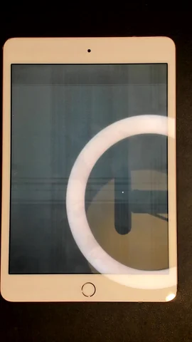 Apple iPad mini 5 (2019) de N*****a antes de la reparación de pantalla