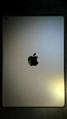 Foto tomada del Apple iPad 7 10.2 (2019) de S****s posterior a la reparación de tapa trasera y cristal digitalizador el 24 de Julio de 2023