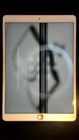 Apple iPad Air 3 (2019) de P***a antes de la reparación de pantalla