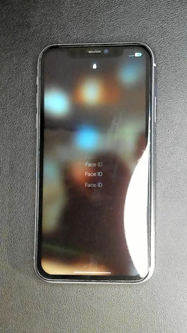 Foto tomada del Apple iPhone 11 de D****l posterior a la reparación de vibrador el 4 de Enero de 2024