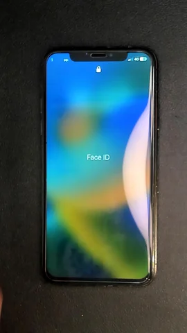 Apple iPhone X de F*******o antes de la reparación de batería