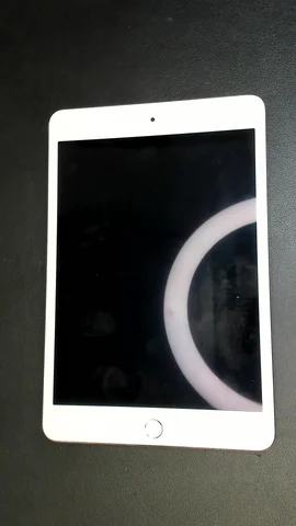 Apple iPad mini 4 (2015) de J**n antes de la reparación de batería