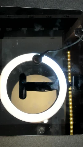 Apple iPad 7 10.2 (2019) de S******o antes de la reparación de puerto de carga