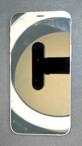 Apple iPhone 12 mini de C***a antes de la reparación de lente de cámara trasera y batería