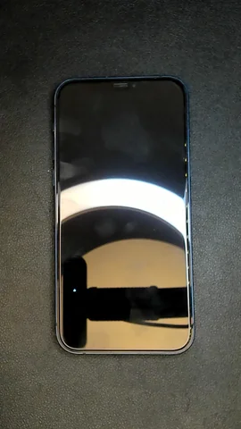 Apple iPhone 12 de B***n antes de la reparación de batería