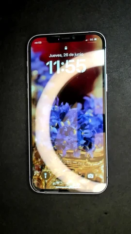 Apple iPhone 12 de R***o antes de la reparación de batería