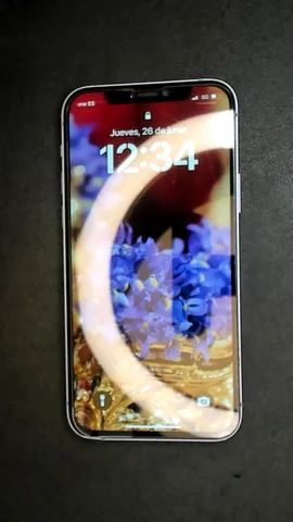 Foto tomada del Apple iPhone 12 de R***o posterior a la reparación de batería el 24 de Junio de 2025