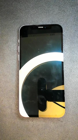 Apple iPhone 12 de F*******o antes de la reparación de batería y tapa trasera