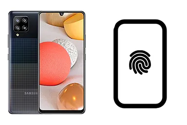 Imagen de Cambiar Lector de huella de Samsung Galaxy A42 5G