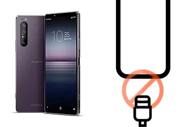 Imagen de Cambiar Puerto de carga de Sony Xperia 1 II